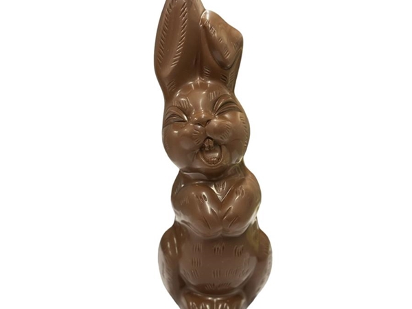 Lachende paashaas klein